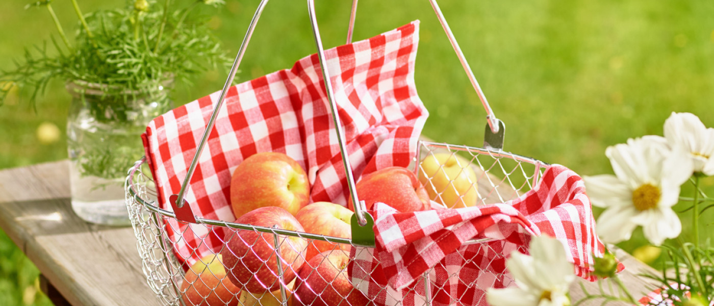 Wellant – der Allergiker Apfel jetzt auch für den Hausgarten