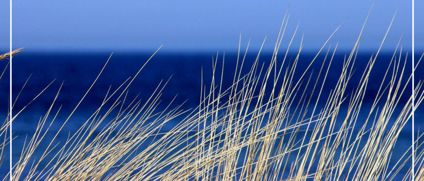 Wie wäre es mit einem Strandgarten?