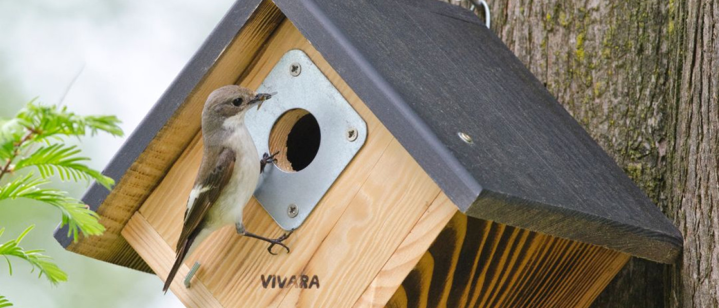 Wo V&ouml;gel gerne wohnen