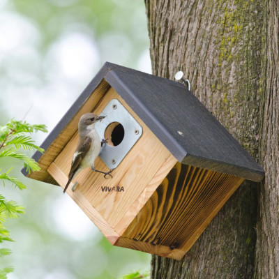 <? $page->title() ?>