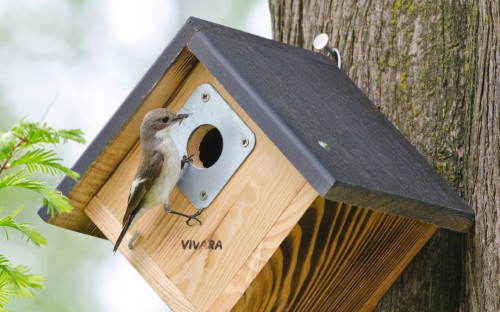 <? $page->title() ?>