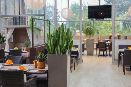 Rostock Gartencenter | Café Emil