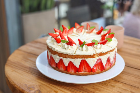 Rostock Gartencenter | Café Emil