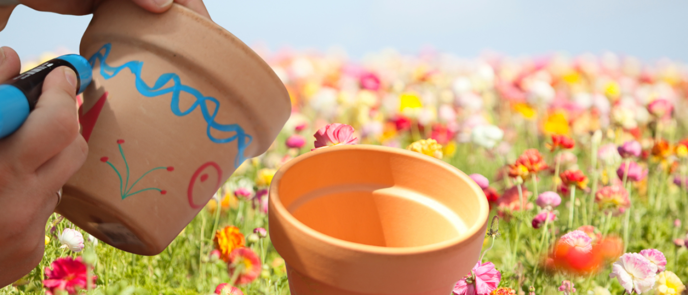 Fr&uuml;hlingserwachen