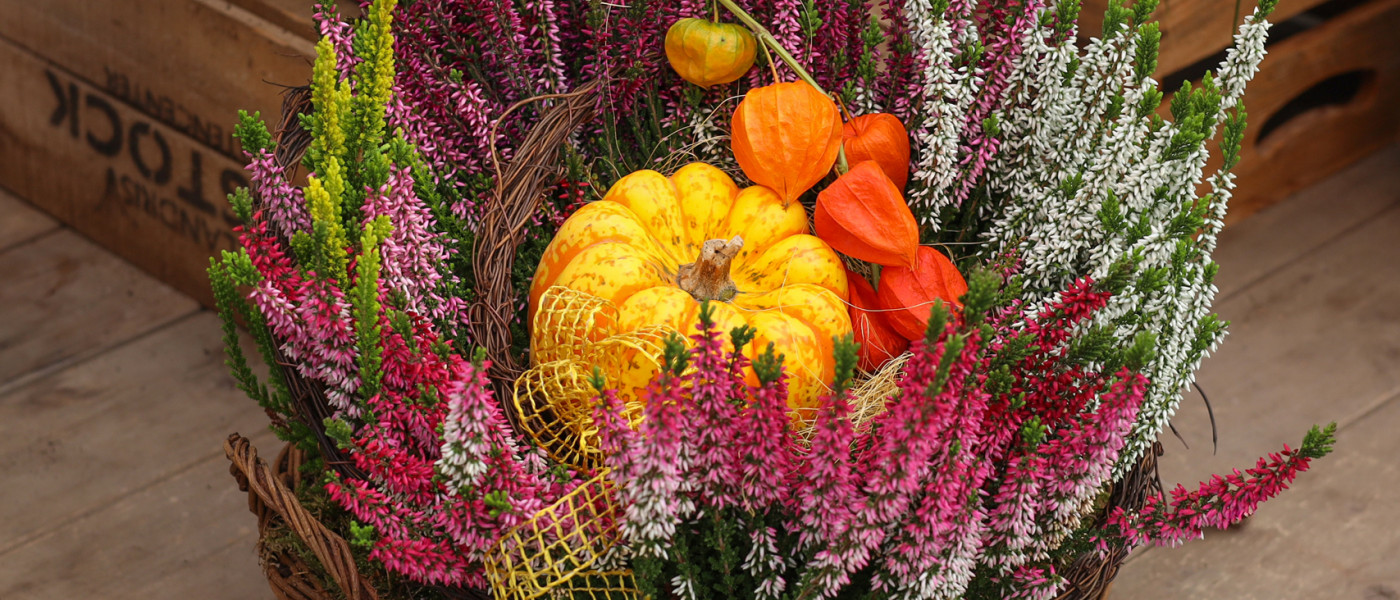 Gartenstammtisch: Herbstschalen