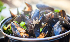 AUSGEBUCHT - Muschelbuffet