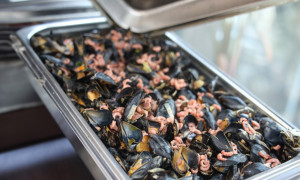 Muschelessen Buffet