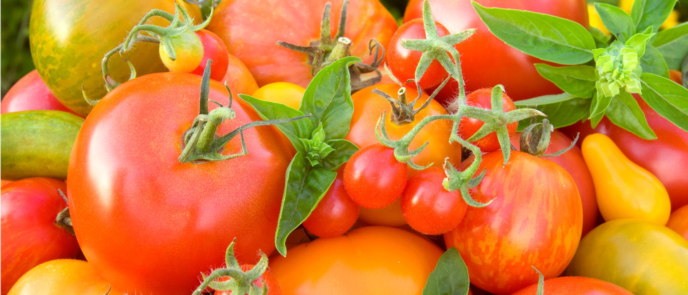 Saisonal Genie&szlig;en - Gem&uuml;se Verk&ouml;stigung