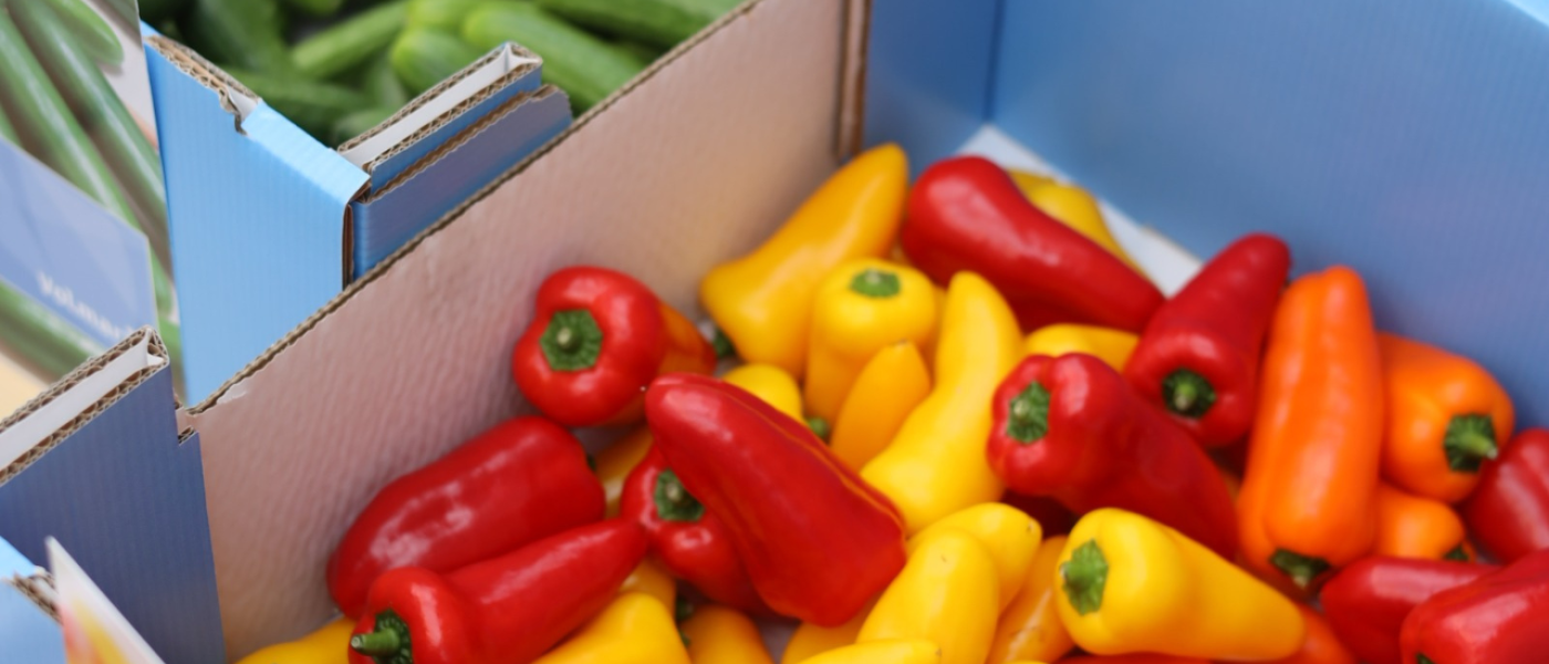 Volmary Gem&uuml;severk&ouml;stigung